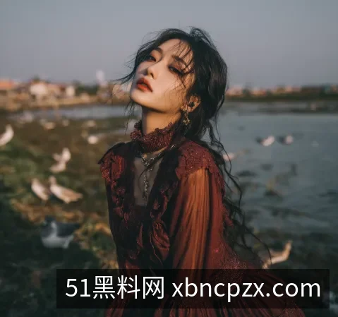 公司信息